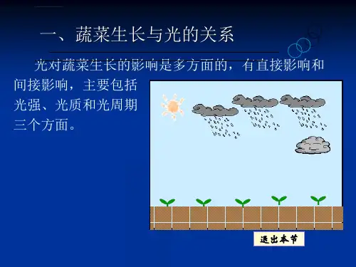 第二章蔬菜栽培的生物学基础ppt课件