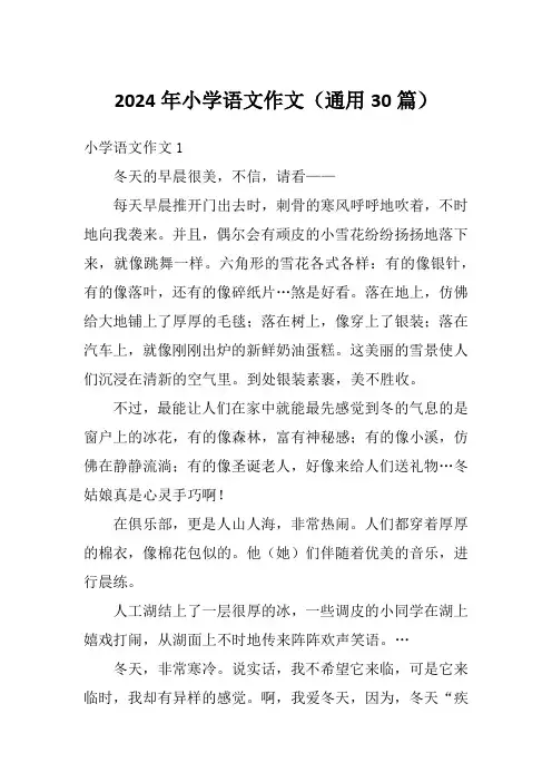 2024年小学语文作文(通用30篇)