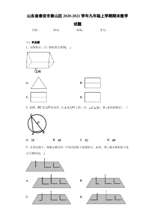 山东省泰安市泰山区2020-2021学年九年级上学期期末数学试题
