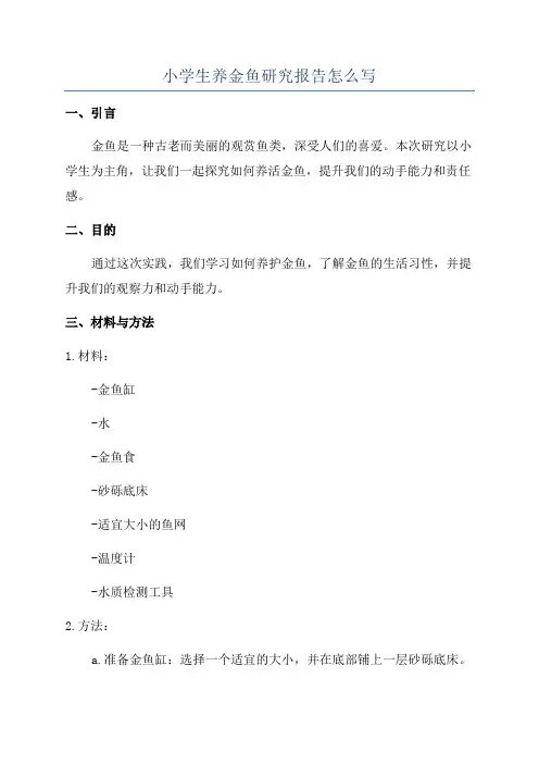 小学生养金鱼研究报告怎么写