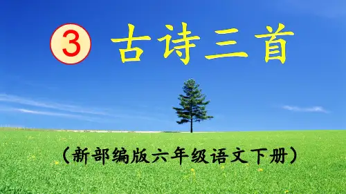 部编版《十五夜望月》PPT课件