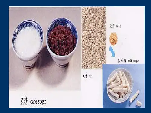蔗糖PPT课件