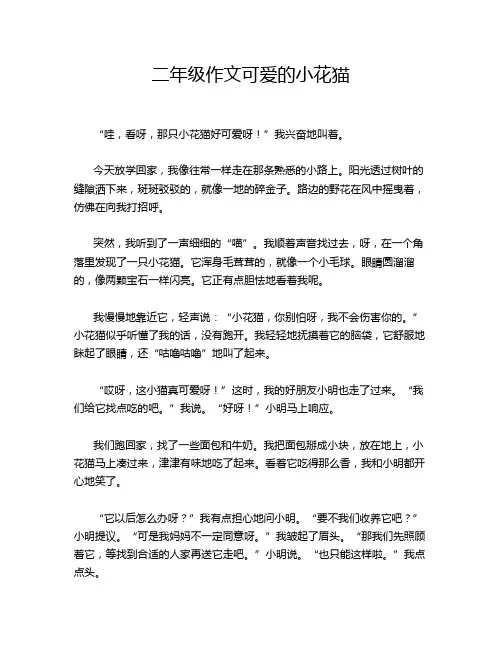 二年级作文可爱的小花猫