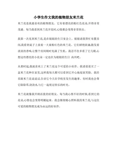 小学生作文我的植物朋友米兰花