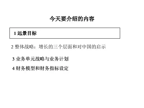 企业整体战略远景目标麦肯锡咨询