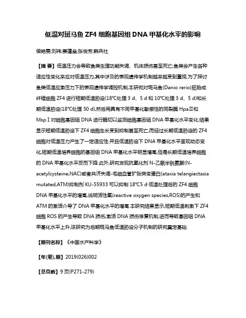 低温对斑马鱼ZF4细胞基因组DNA甲基化水平的影响