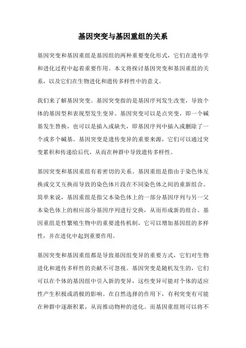 基因突变与基因重组的关系