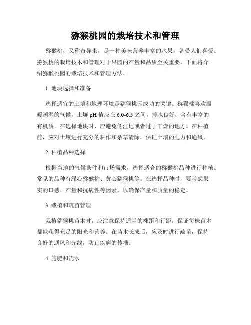 猕猴桃园的栽培技术和管理
