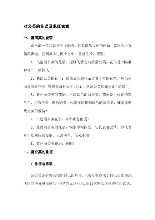 蒲公英花语象征与寓意