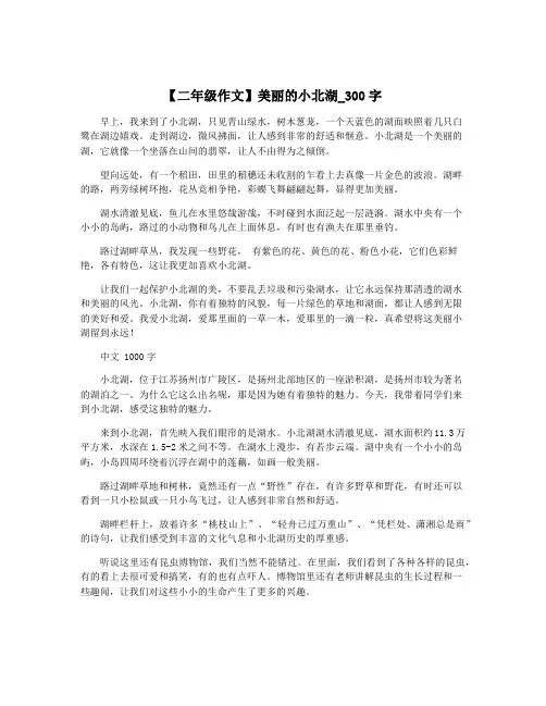 【二年级作文】美丽的小北湖_300字