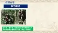 组织行为学(权力概述)