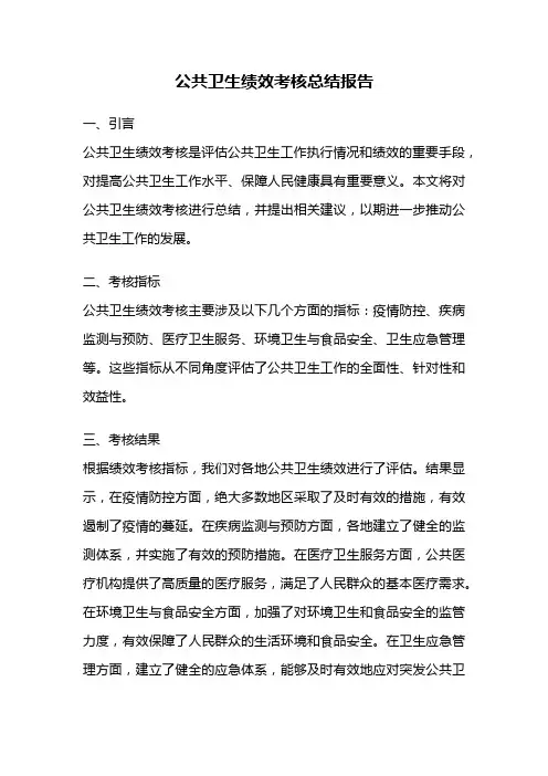 公共卫生绩效考核总结报告