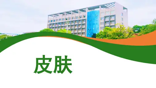 《解剖学基础》课件——皮肤