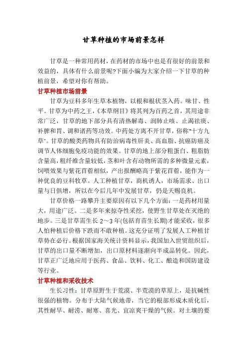 甘草种植的市场前景怎样