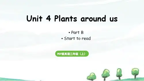 2024年新人教版三年级上册英语课件 Unit 4 Part B 第6课时Start to read