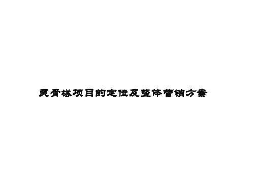 西安南五台山灵骨塔项目的定位及整体营销方案41p