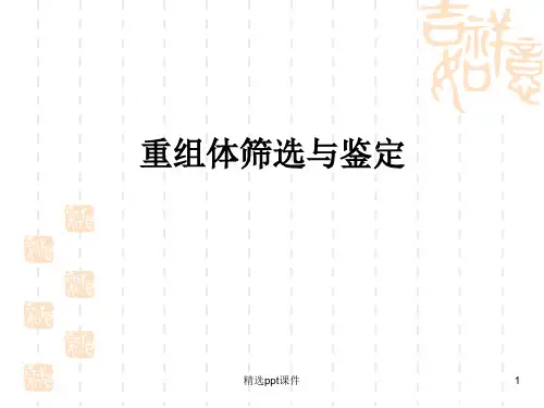 实验17-重组体筛选与鉴定
