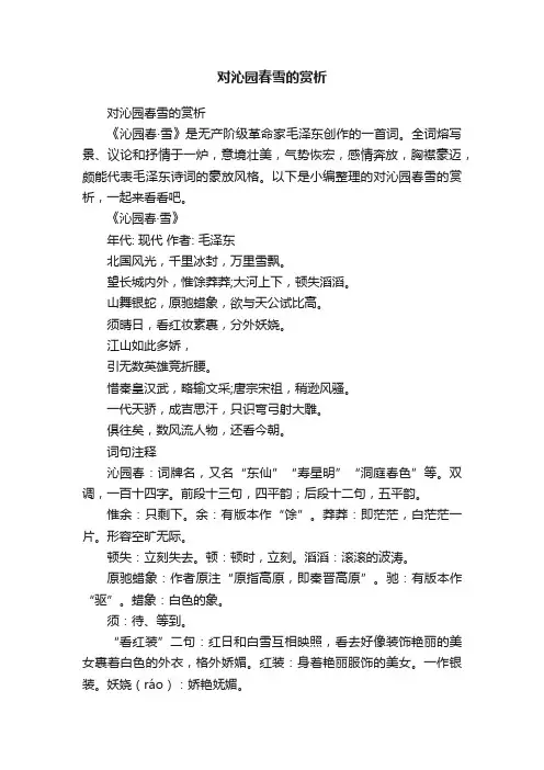 对沁园春雪的赏析