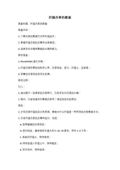 扦插月季的教案