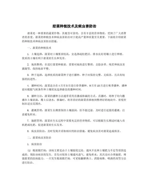 甜菜种植技术及病虫害防治