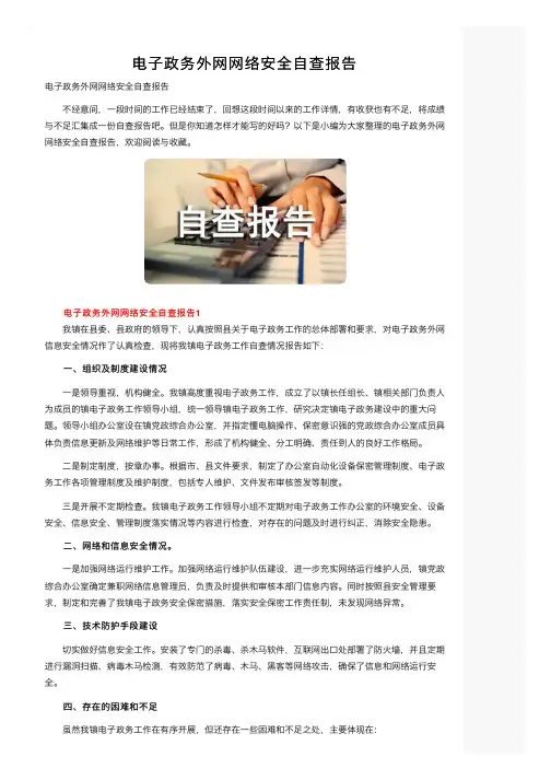 电子政务外网网络安全自查报告