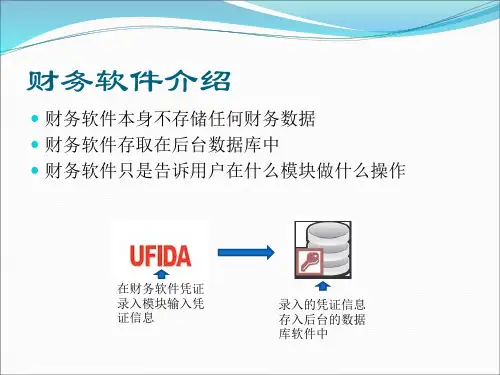 鼎信诺审计前端取数讲解powerpoint48页.pptx