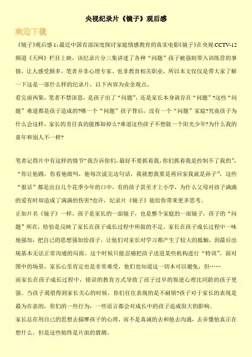 央视纪录片《镜子》观后感