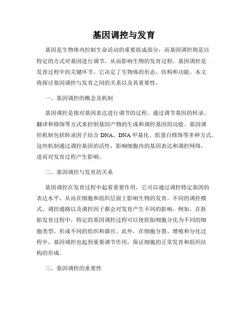 基因调控与发育