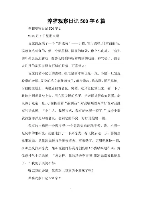 养猫观察日记500字6篇(精编版)(精编版)