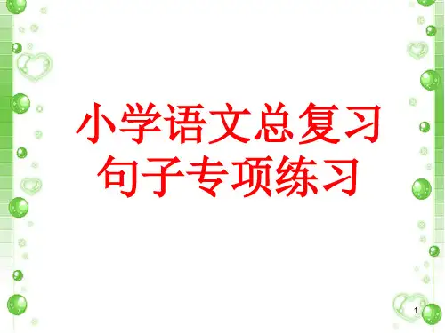小学语文总复习句子专项练习ppt课件