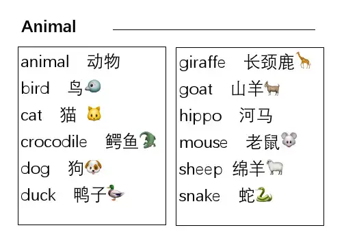 单词卡片1