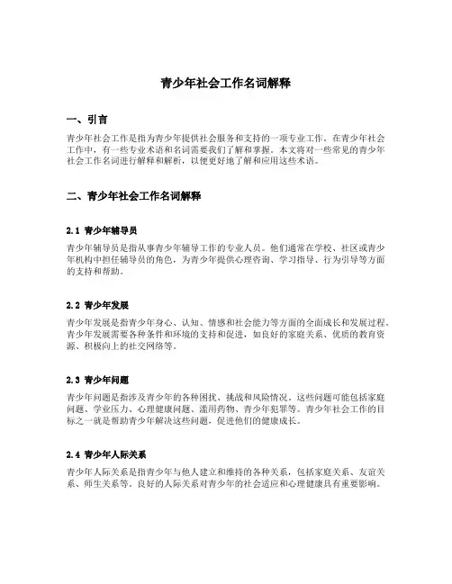 青少年社会工作名词解释