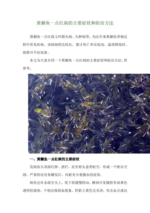 黄颡鱼一点红病的主要症状和防治方法