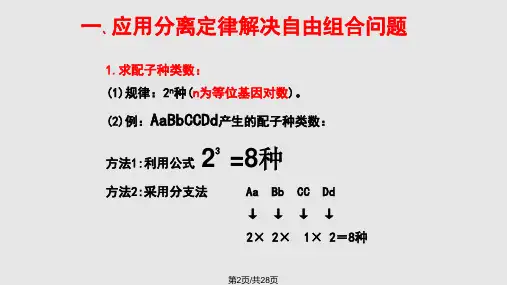 超实用自由组合定律解题技巧篇.pptx