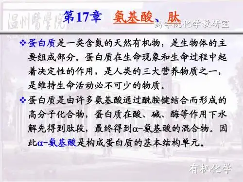 第17章 氨基酸肽