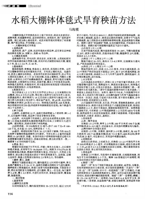 水稻大棚钵体毯式旱育秧苗方法