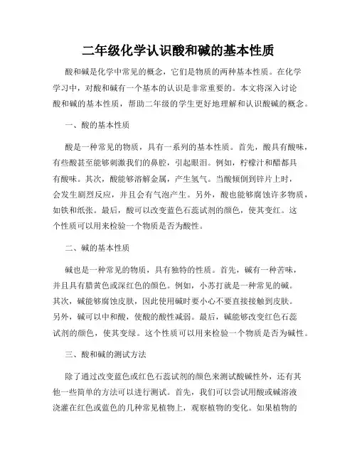 二年级化学认识酸和碱的基本性质