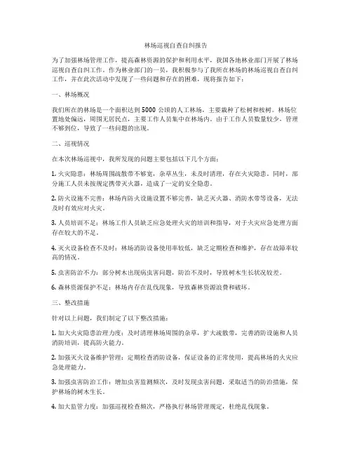 林场巡视自查自纠报告