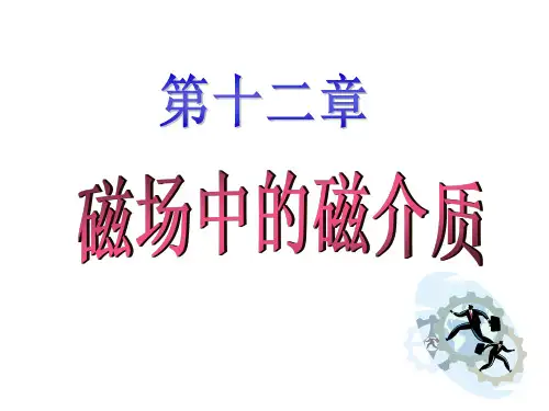 磁场中的磁介质
