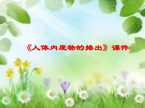 人体内废物的排出课件