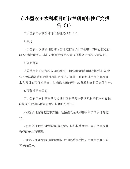 市小型农田水利项目可行性研可行性研究报告(1)