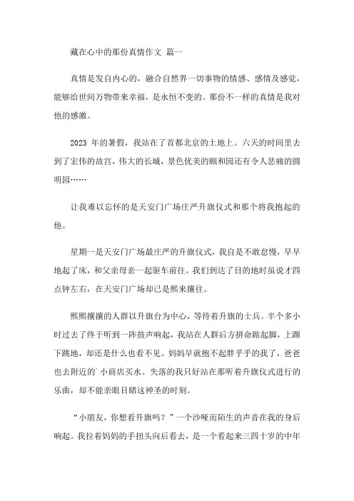 藏在心中的那份真情作文