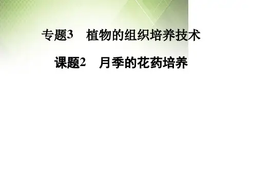 高中生物专题三课题2月季的花药培养课件新人教版选修1