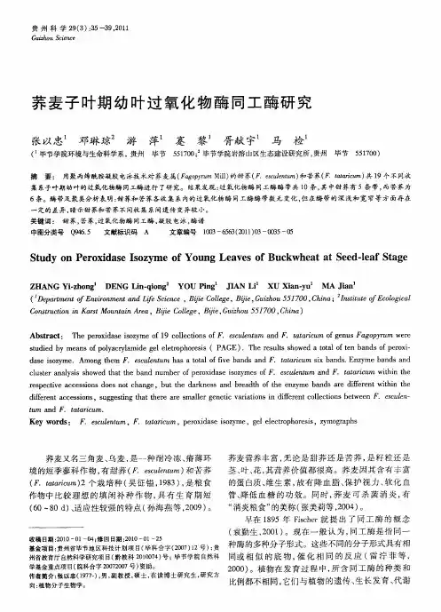 荞麦子叶期幼叶过氧化物酶同工酶研究