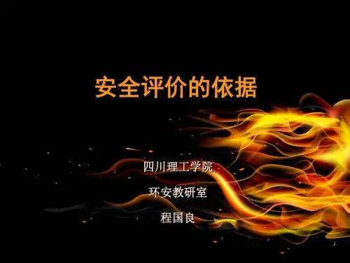 2安全评价的依据