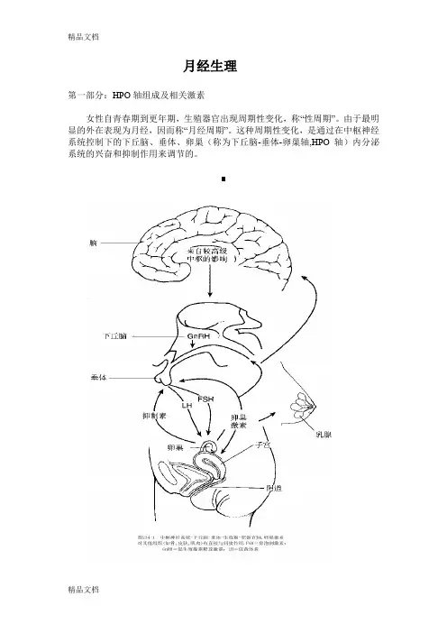 (整理)女性月经生理概述.