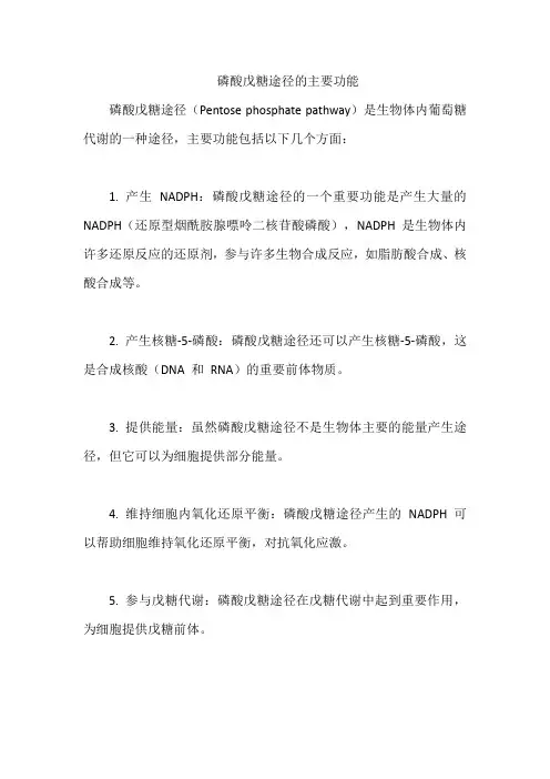 磷酸戊糖途径的主要功能