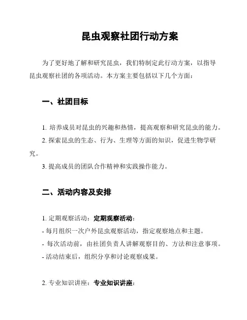 昆虫观察社团行动方案