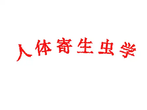 人体寄生虫学-鞭虫-广州管圆-旋毛虫