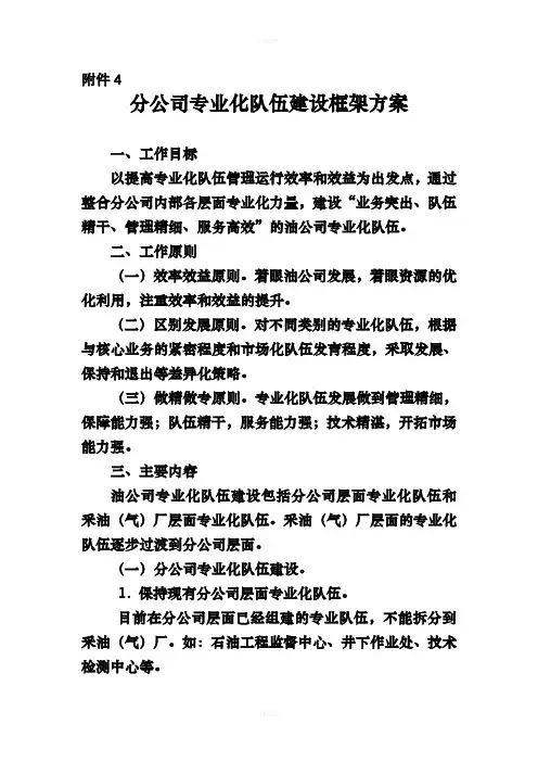分公司专业化队伍建设框架方案